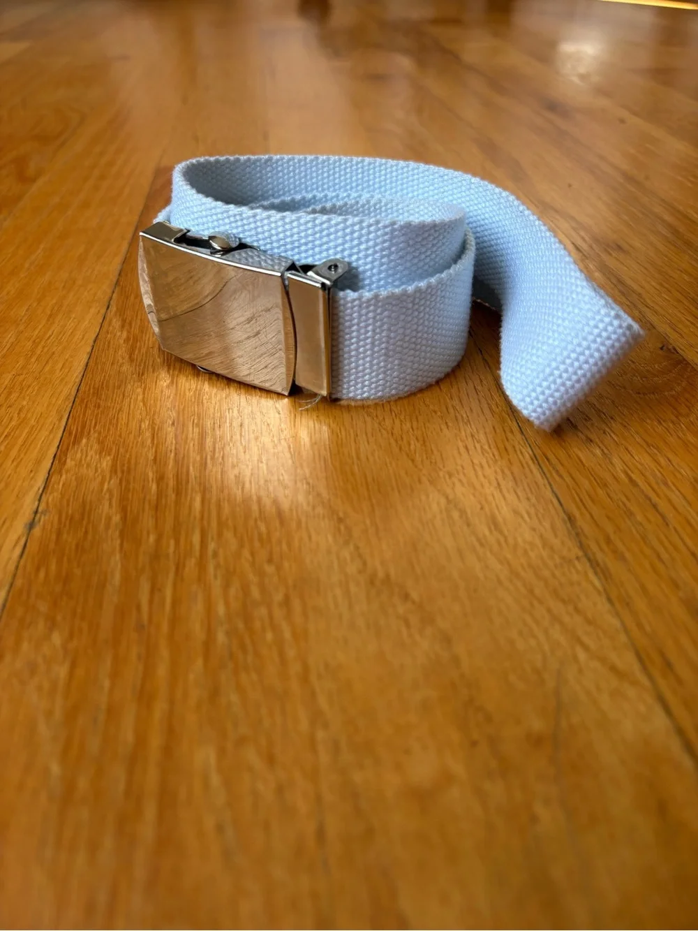White Canvas Belt with silver-tone Buckle - Women's Accessory